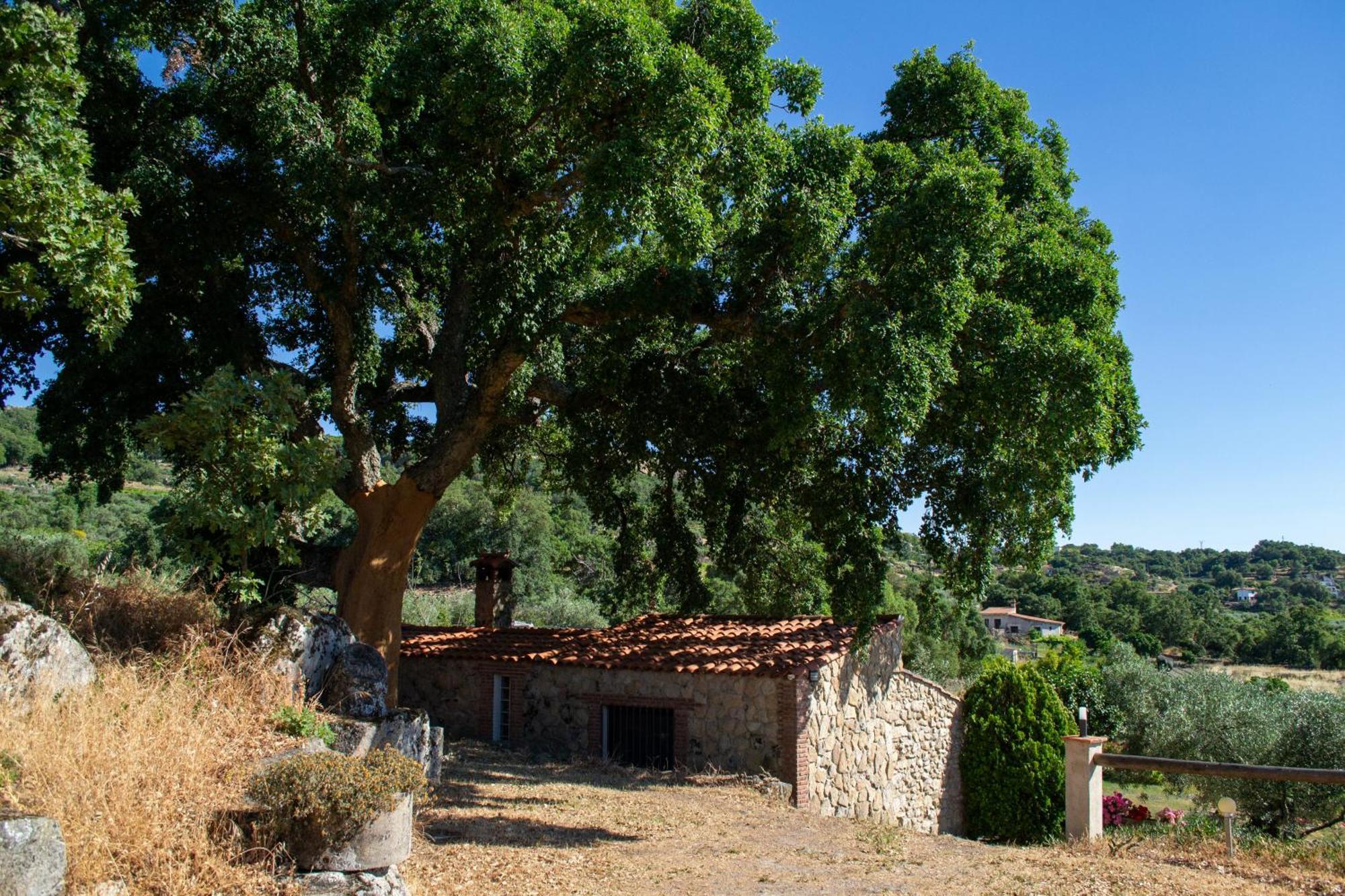 Casa Rural La Recuera มอนตันเชซ ภายนอก รูปภาพ
