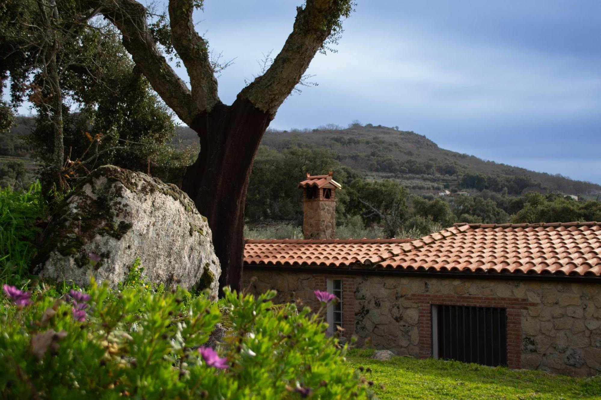 Casa Rural La Recuera มอนตันเชซ ภายนอก รูปภาพ